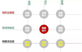 5000万变2亿 解码销售业绩背后的精细化管理之道